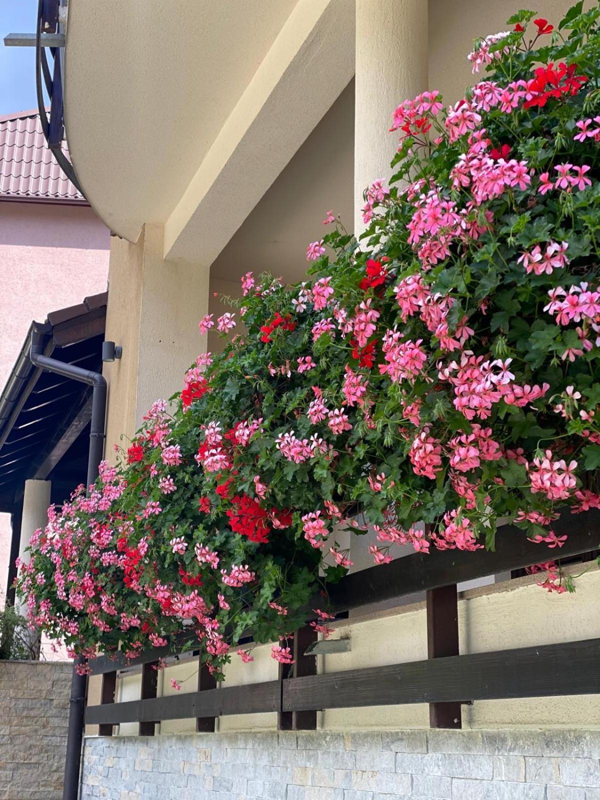 Poiana Ski Residence Apartment 5 Пояна-Брашов Экстерьер фото